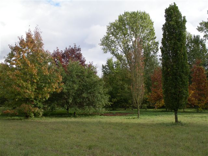 Arboretum de Mulhouse - © L.Gallé