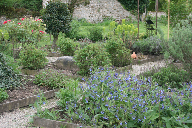 Le jardin des simples où les Amis du dehors cultivent la consoude utilisée pour traiter le verger © Jean-François Coffin