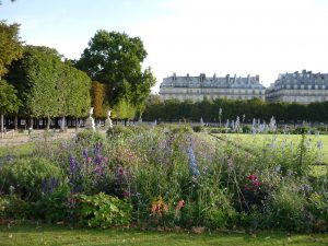 Parterres des jardins des Tuileries en 2010 © Michel Audouy