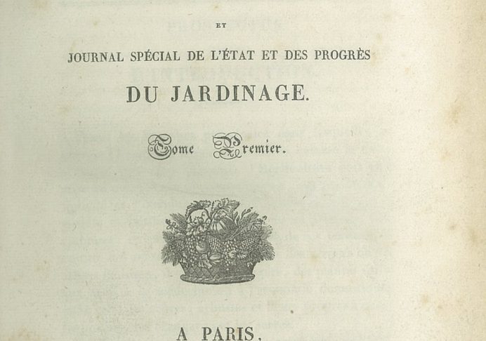 tradition et innovation Pâtissier Vol.1 高性能