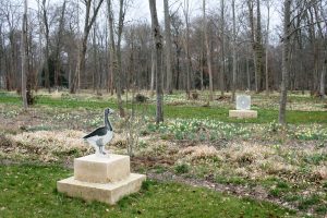 Au XVIIIe siècle, le jardinier des Montmorency a planté beaucoup de bulbes de narcisses. On les retrouve ici aujourd’hui sur le jeu de l’oie redécouvert dans les années 1980 et faisant l’objet d’une profonde restauration © J.-F. Coffin.