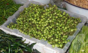 Photo n°2 : fruits de Solanum torvum sur un marché en Thaïlande (diamètre ~ 1cm) © INRA