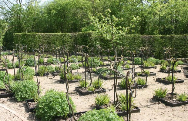 Gilles Briens a fait appel à un ferronnier d’art pour élaborer le palissage des végétaux, comme ici pour la vigne © J.-F. Coffin