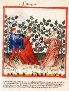 Photo 2 - Dans les nombreux manuscrits médicinaux produits en Europe entre 1300 et la fin du 15è siècle, on trouve des illustrations d’aubergine dont les plus belles sont les merveilleuses miniatures des Tacuinum sanitatis - © D.R.
