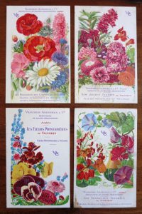 Les fleurs occupent une part importante des catalogues Vilmorin - © D.R.