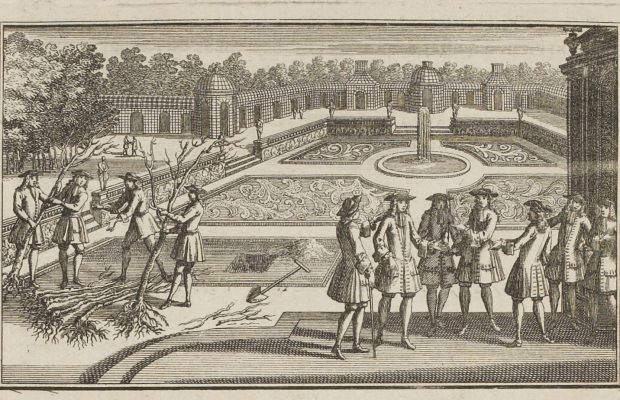 Extrait de l’ouvrage de La Quintinye, Jean-Baptiste de, Instruction pour les jardins fruitiers et potagers, avec un Traité de la culture des orangers, suivi de quelques réflexions sur l'agriculture. Tome premier, Amsterdam : Desbordes, 1692 – Bibliothèque SNHF