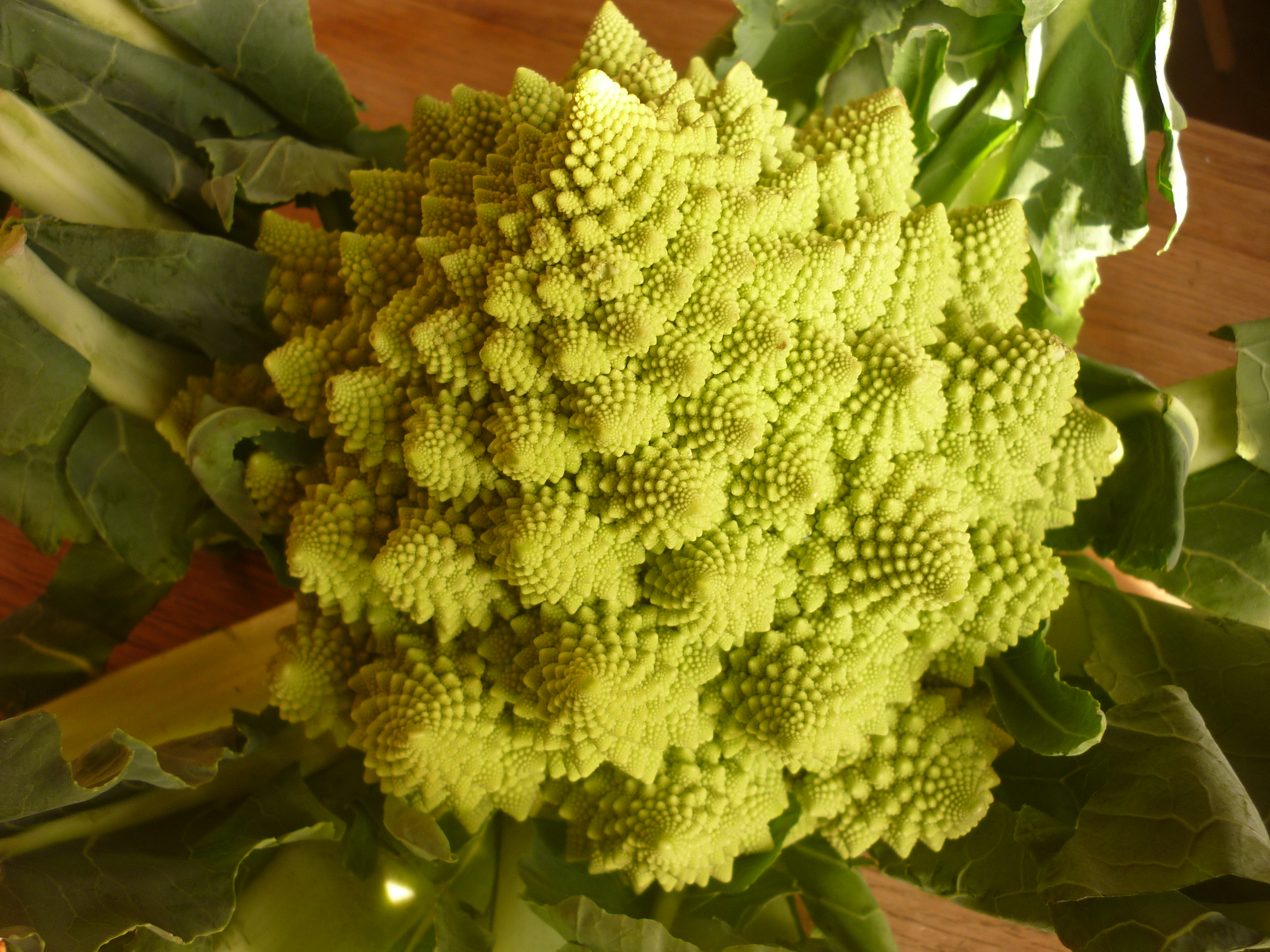 Le chou Romanesco est le meilleur exemple de fractales dans le monde végétal - © D.R.