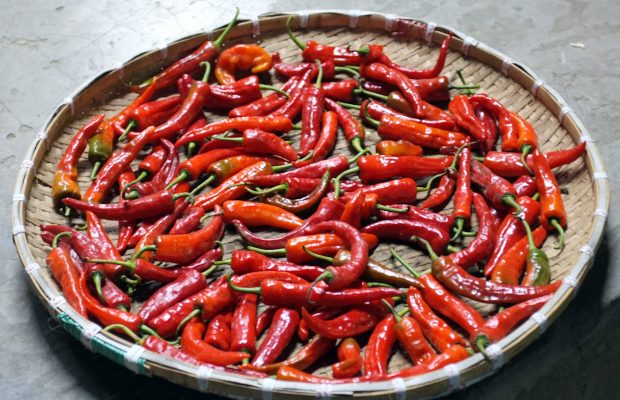 Piments rouge du Bhoutan - © M. Cambornac