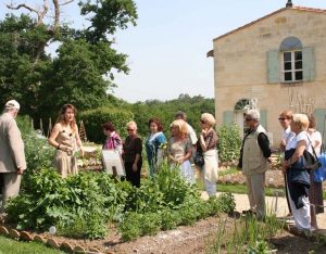 Un lieu unique où Bernard Lafon fait partager sa passion des légumes oubliés aux visiteurs - © Oh ! Légumes Oubliés