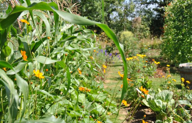 Le concours « Jardiner Autrement » récompense les jardiniers engagés, comme la famille Jaworski lauréate en 2012 dont ici une bordure fleurie dans leur jardin - © Agnès Guillaumin