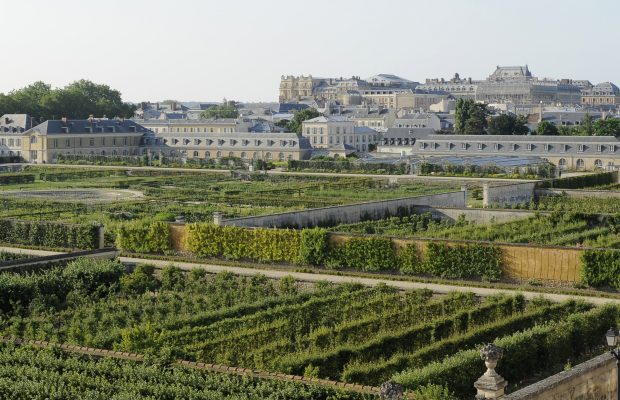 Le Potager du Roi aujourd’hui - © potager-du-roi