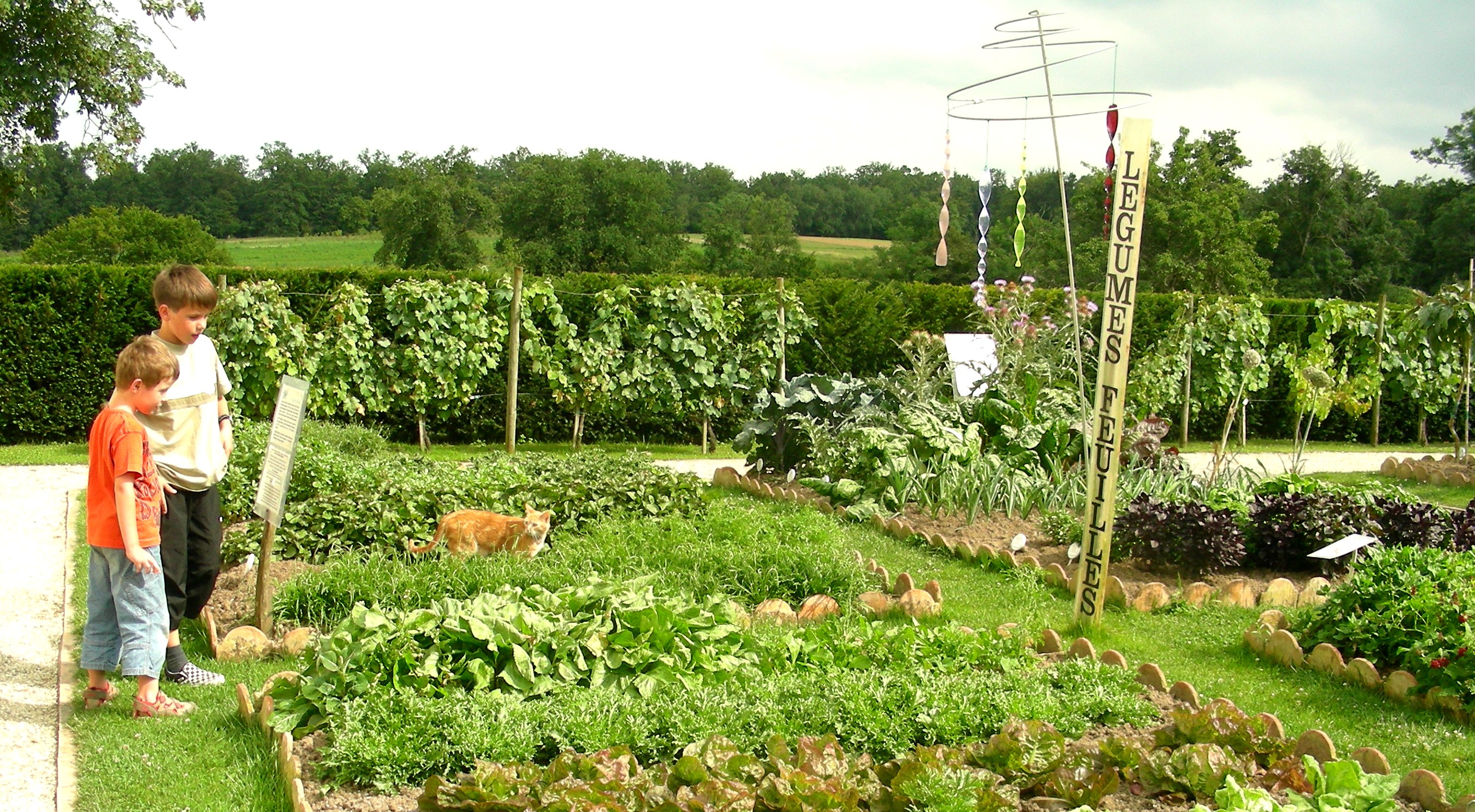 Un jardin ouvert à la visite - © Oh ! Légumes Oubliés