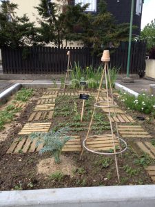 Au centre de la lasagne, deux tipis pour les pois de senteur - © Danielle Gourmain