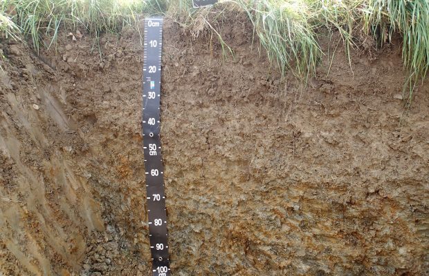 Les sols constituent une pellicule d’à peine un mètre d’épaisseur à la surface des continents - © D.R.