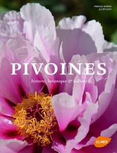 pivoines_joly_sadrin