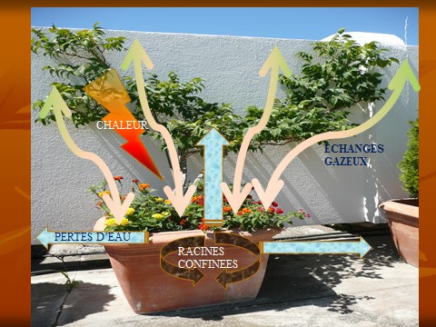 Terreaux, des normes pour bien choisir - Jardins de France