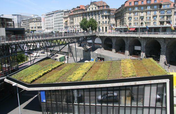 Tests de végétalisation de toitures à Lausanne - © J.-F. Coffin