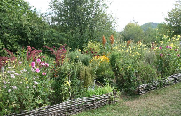 Des méthodes pour protéger son jardin contre les agresseurs 