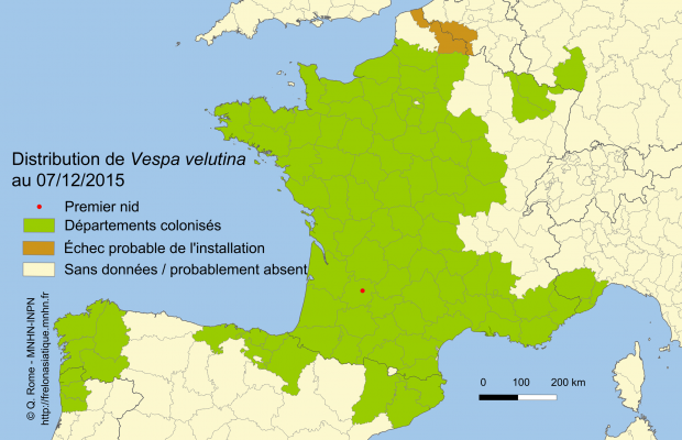  Distribution de Vespa velutina en Europe fin 2015