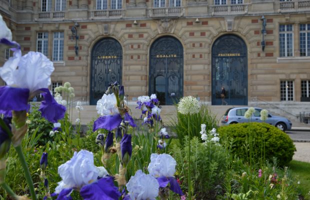 des vivaces et des bulbes, Hôtel de ville