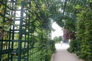 Cette promenade plantée est comme « un tunnel vert, une énergie qui rentre dans Paris »…