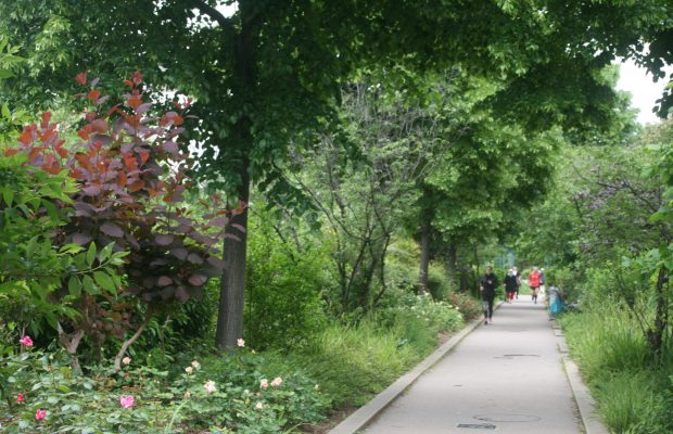 Coulée verte Paris Qui peut s’imaginer que cette végétation luxuriante, fréquentée par des joggers, se situe à 10 mètres du sol, sur un ancien viaduc ?