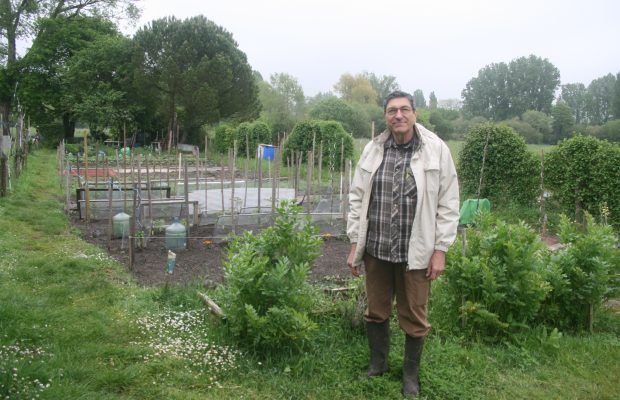 Jean-Marc Muller, heureux en son potager, devant des touffes de livèche (céleri perpétuel)