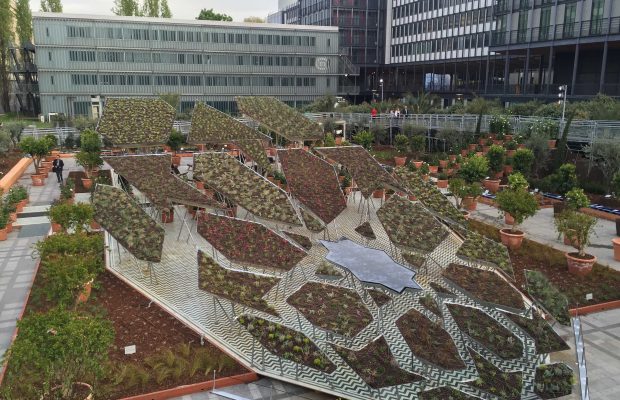 Le polygone étoilé jardin d'Orient