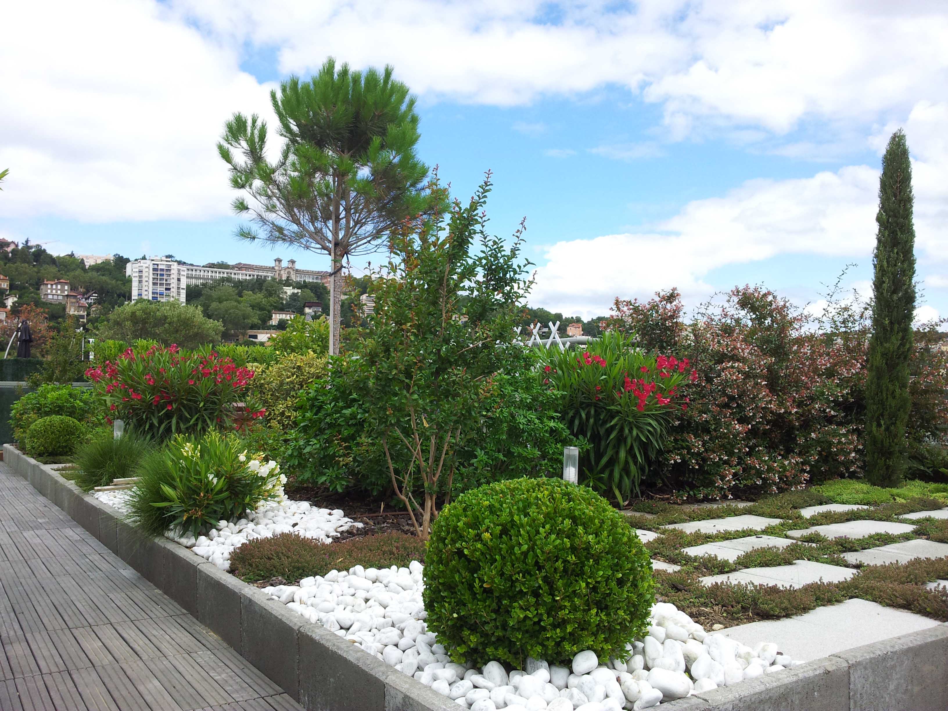 Gel au balcon, plantes en danger - Jardins de France