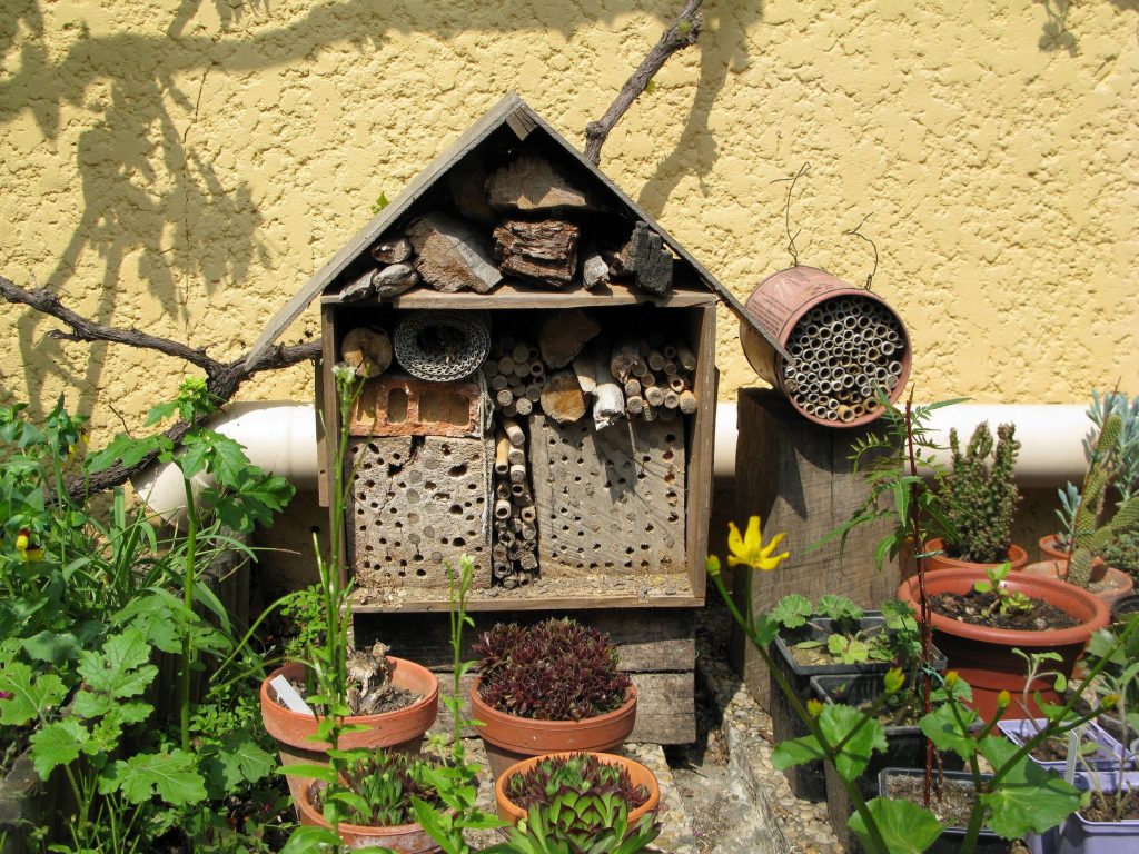 Un petit hôtel à abeilles dans un jardin en Provence avec des tiges creuses et des buches percées. Ce type d’aménagement simple permet d’avoir à domicile des insectes pollinisateurs sauvage pour augmenter la faune locale - © N. Morison, INRA Avignon