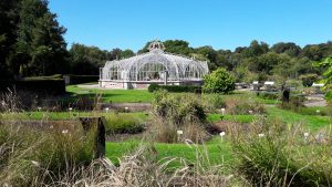 En facilitant le transfert d’allèles d’intérêt, le système CRISPR/Cas9 pourra contribuer à l’exploitation des ressources génétiques. – (Collections du Jardin Botanique de Meise, Belgique) - © F. Maclot.