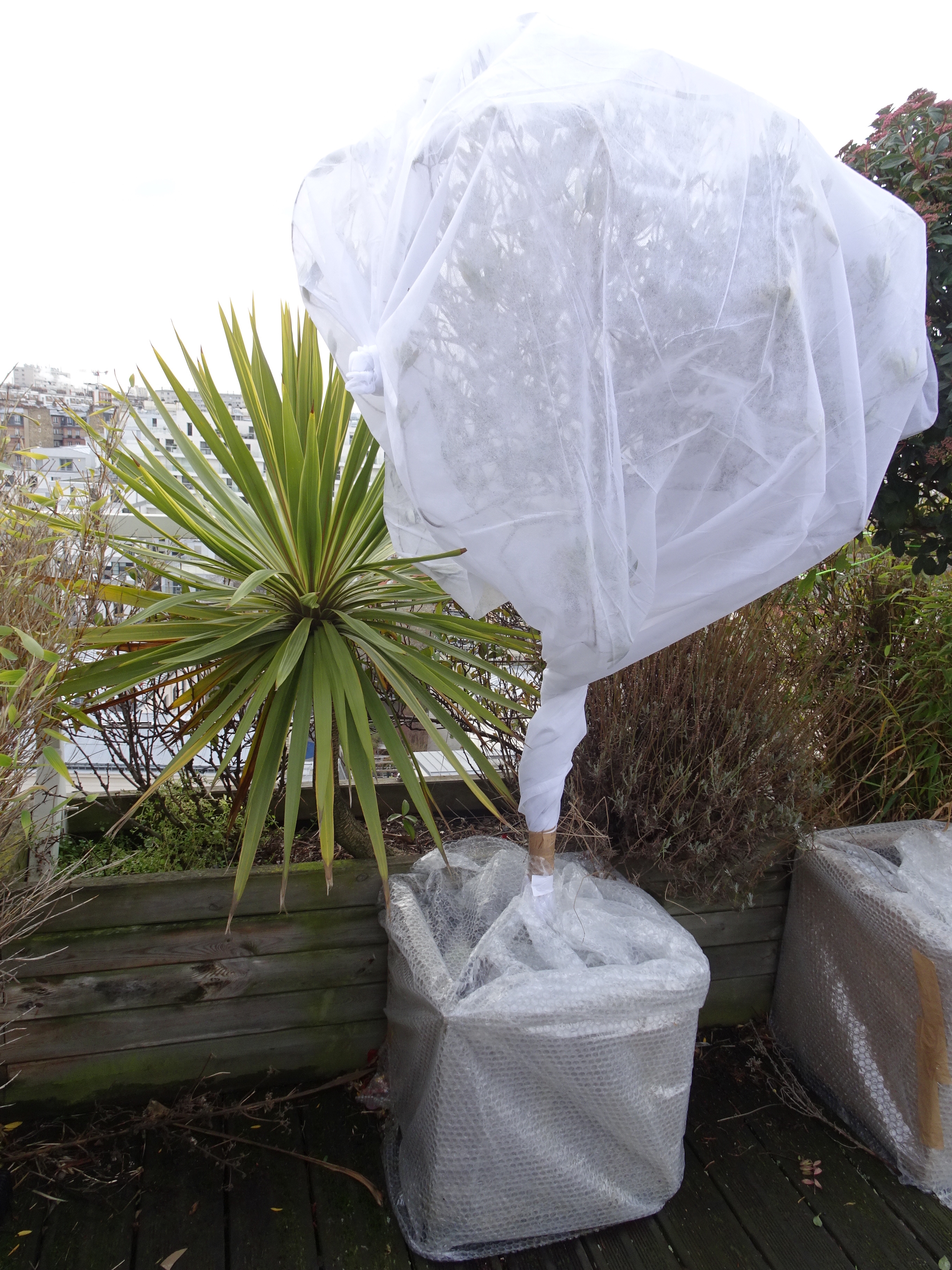 Voile de Protection des Plantes en Hiver