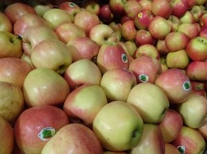 Une alimentation limitée des fruits en sucres en début de croissance est favorable à la synthèse et à l’accumulation de caroténoïdes - © J.-F. Coffin