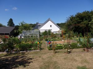 Le 2e prix attribué au jardin de Patrick Le Porhiel, Quéven (Morbihan) - © D.R.