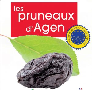 La zone IGP du Pruneau d’Agen est centrée sur le département du Lot-et-Garonne -© BIP