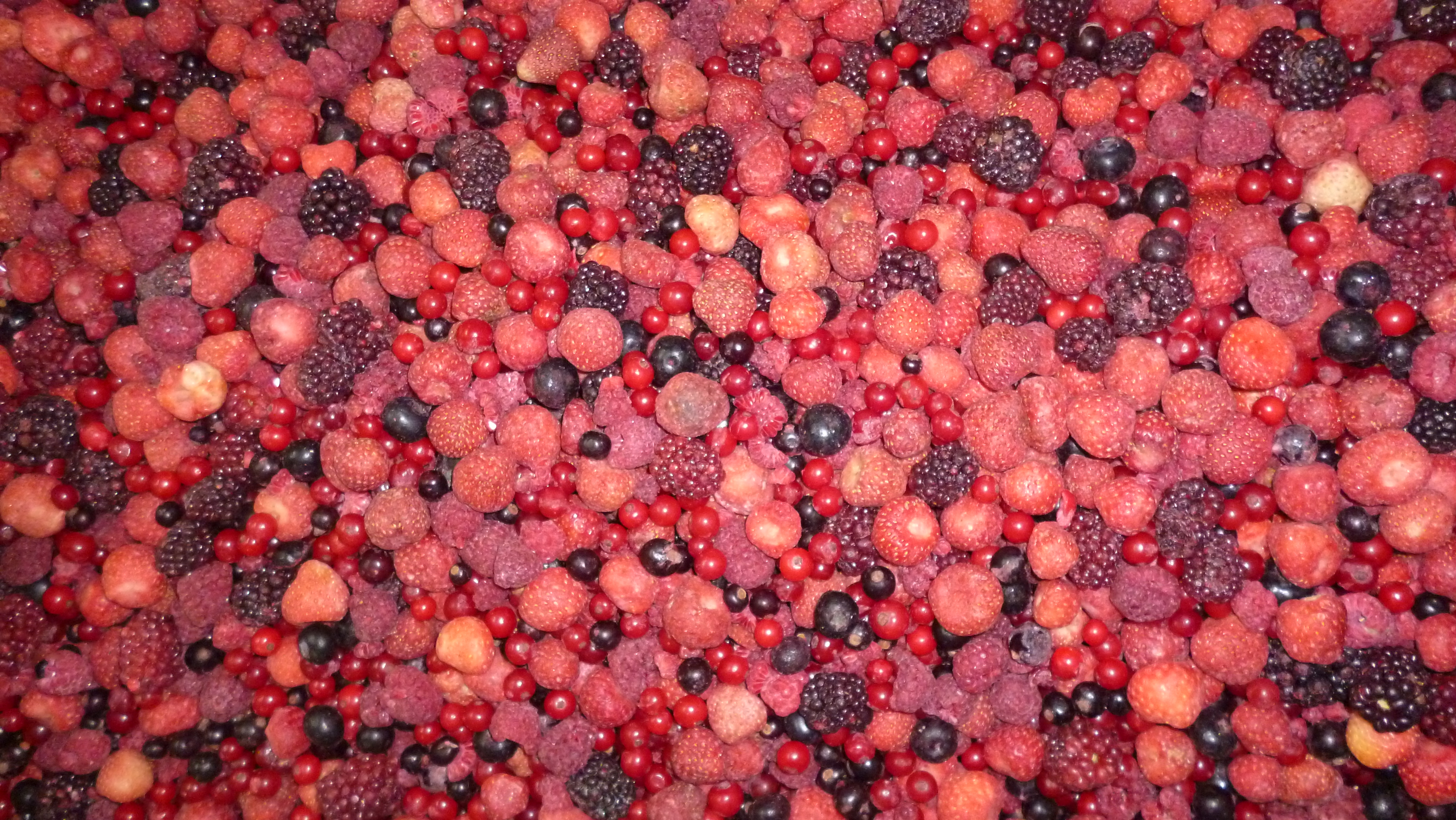 La relative teneur en pectine des principaux fruits rouges facilitent la conservation par surgélation - © P. Gomez