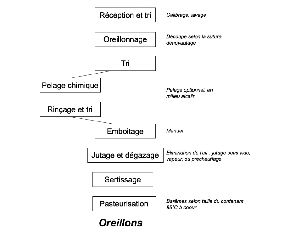 Schéma de principe de la préparation d’abricots appertisés.