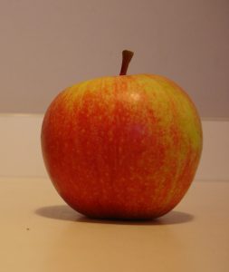 Les fruits climactériques, comme les pommes et les poires, continuent leur maturation après cueillette - © J.-F. Coffin