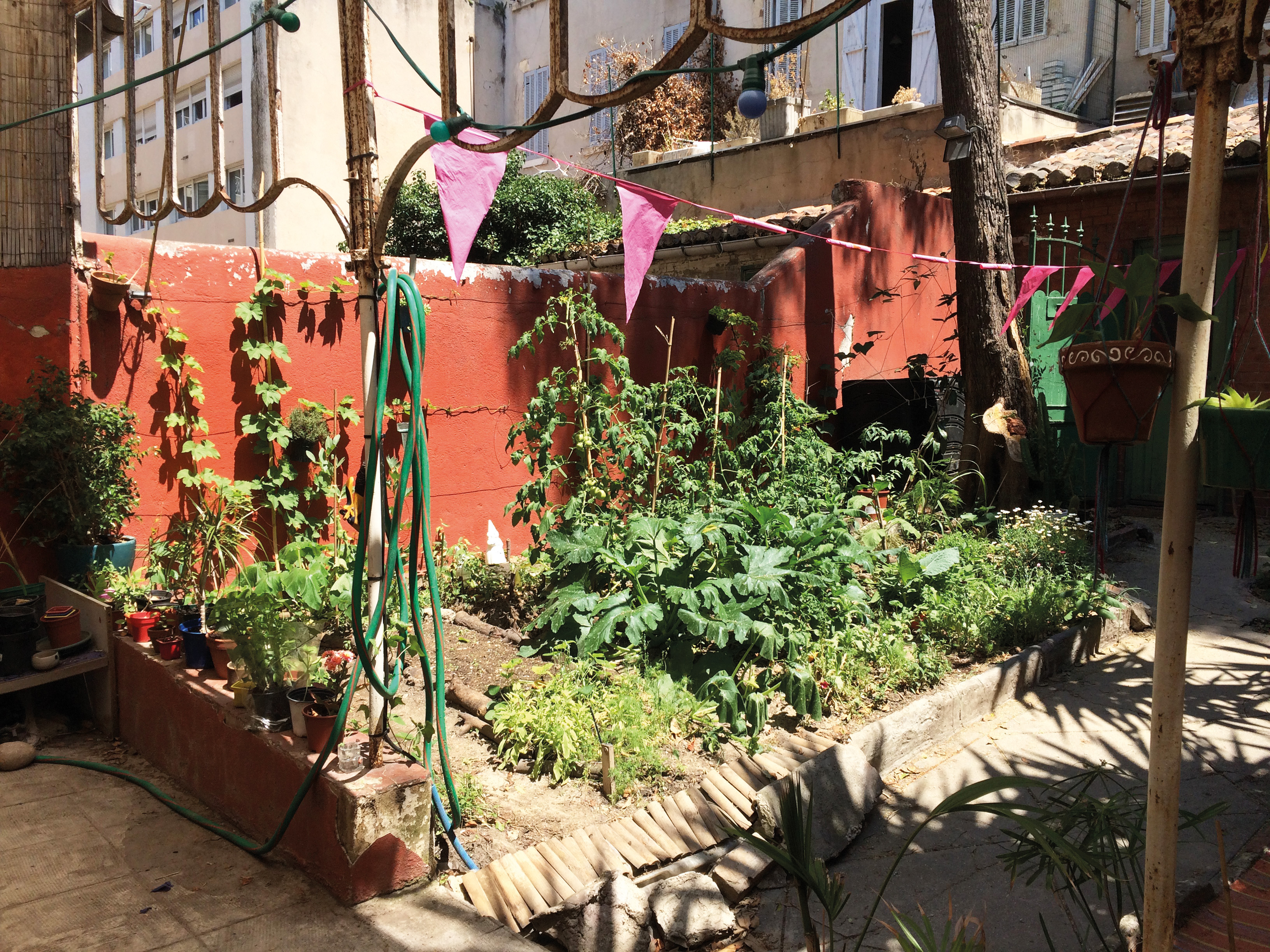 un jardin potager urbain