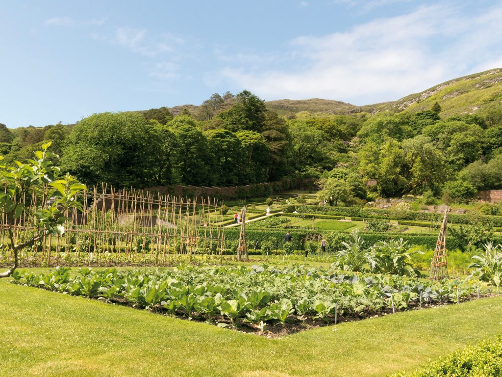 Kylemore, le potager - © Alain Le Borgne