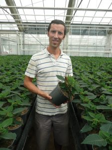 Florent Besnard dans une de ses serres de poinsettias - © N. Dorion