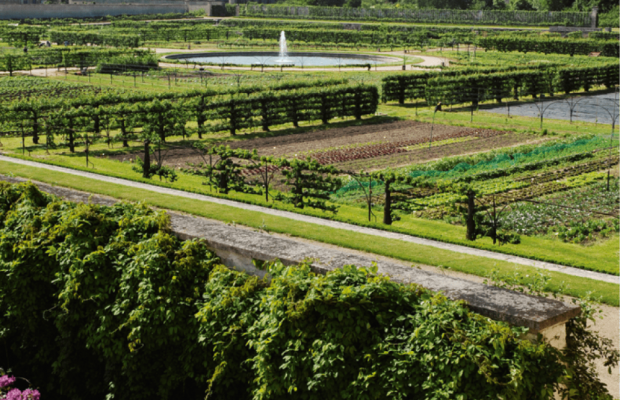 Devenez le roi du potager avec Prêt à Pousser !