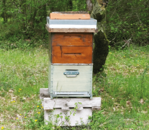 Une ruche dans son jardin