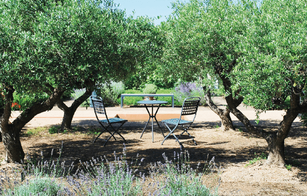 jardin de provence