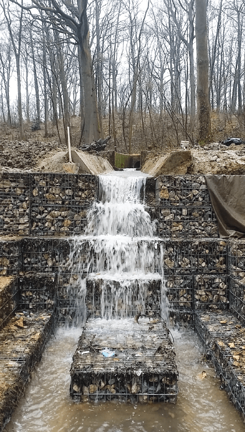 La noue de Vélizy : nettoyer les eaux de ruissellement naturellement -  Jardins de France