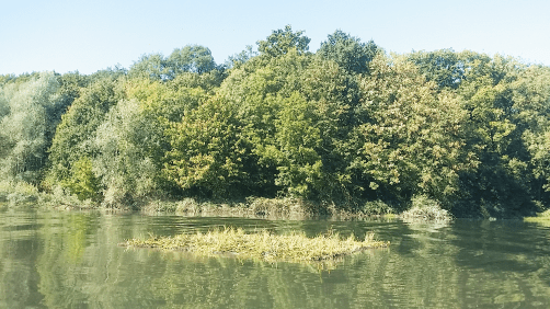 Confection radeau etang Trou aux gants - Jardins de France