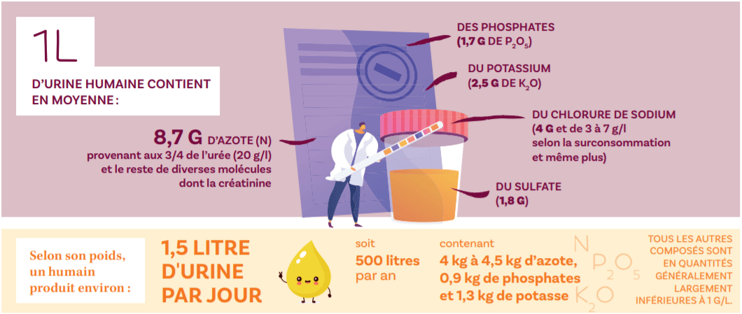 Gironde : Des urinoirs sans eau installés dans un stade pour transformer  l'urine en engrais