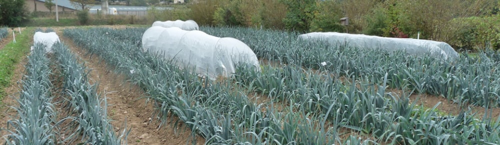 Les filets anti-insectes : une protection technique et essentielle