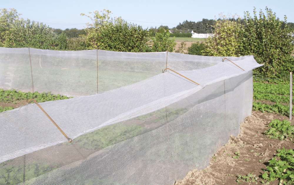 Les filets anti-insectes : une protection technique et essentielle