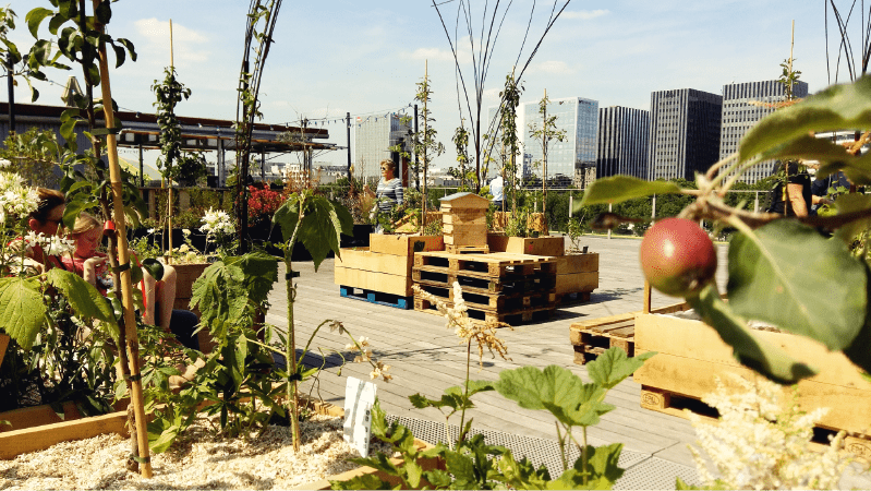 Réintégrer l’arbre fruitier au coeur des villes : Un potentiel sous-estimé - Jardins de France